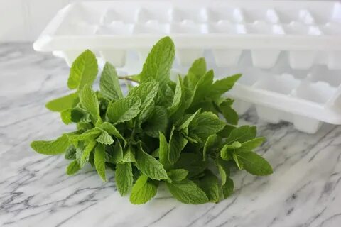 خرید و قیمت انواع سبزی نعناع خشک صادراتی